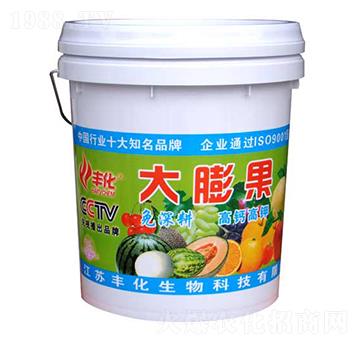 大膨果-豐化