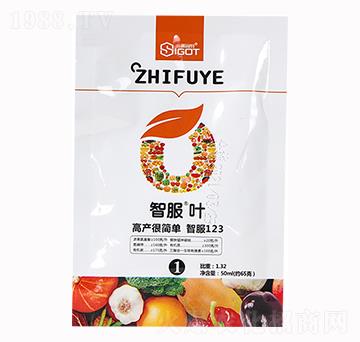 智服葉-賽固特