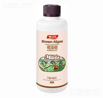 褐藻寡糖復合原液-褐藻硼-豐華肥業(yè)