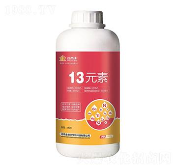 13元素-金普豐