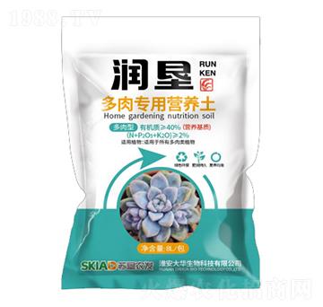 多肉專(zhuān)用營(yíng)養(yǎng)土-潤(rùn)墾-大華生物
