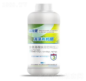 1kg海藻有機膜-藍能量