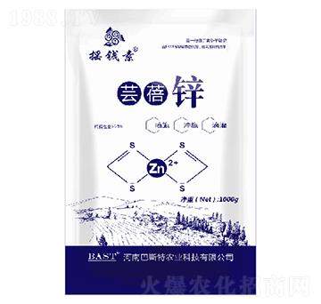 蕓蓓鋅-搖錢(qián)素作物