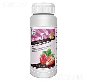 復(fù)合微生物菌劑-99·7號草莓滴地寶-金思達農(nóng)業(yè)