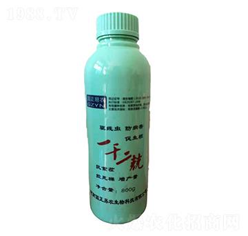 一干二兢-國(guó)正易農(nóng)