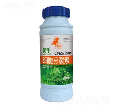細胞分裂素-荷牛-史利夫