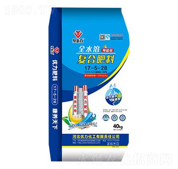 純硫基復合肥料17-5-28-聚優(yōu)力-優(yōu)力化工