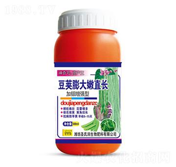 豆莢膨大嫩直長-圣氏潤