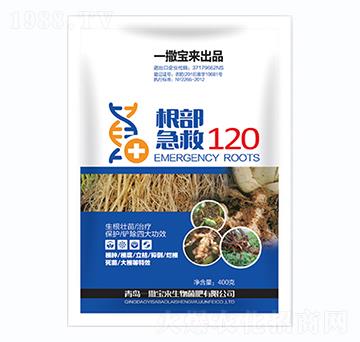 根部急救120-一撒寶來(lái)