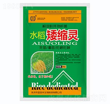 水稻矮縮靈-金田豐