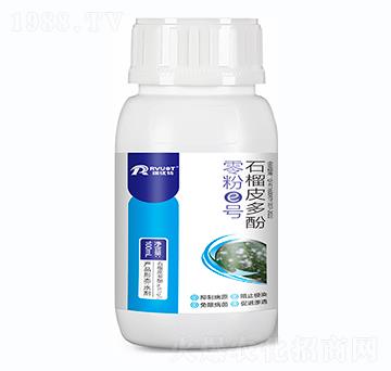 100ml零粉e號-瑞優(yōu)特