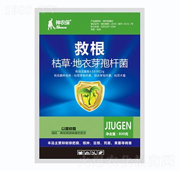 枯草芽孢桿菌-救根-戰(zhàn)車(chē)
