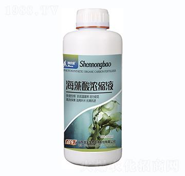 海藻酸濃縮液-戰(zhàn)車