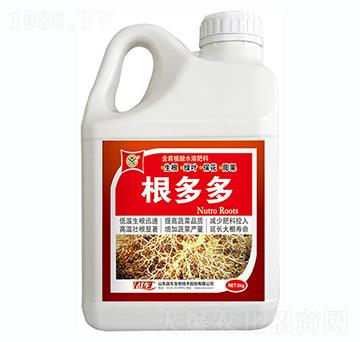 根多多-戰(zhàn)車