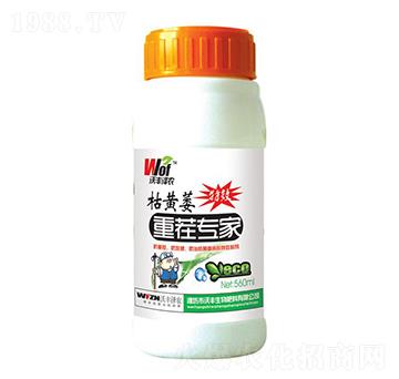 枯黃萎重茬專家-沃豐澤農(nóng)-沃豐生物