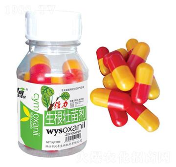 強力生根壯苗劑-沃豐澤農(nóng)-沃豐生物