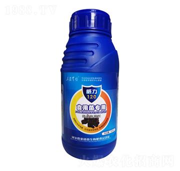 ʳþ-120-_(ti)