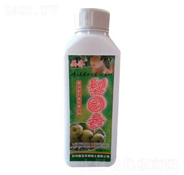 梨園春-鑫寶
