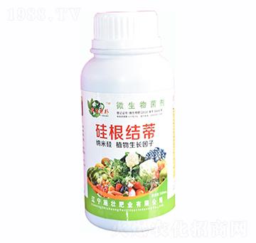 硅根結蒂-施壯肥業(yè)