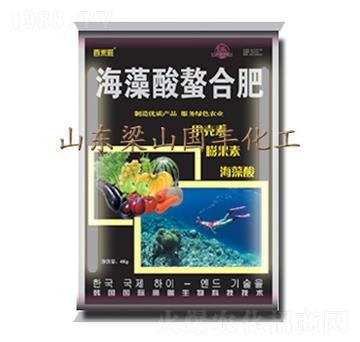 4kg海藻酸螯合肥-國豐肥業(yè)