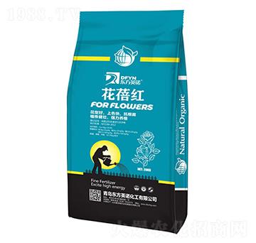 花蓓紅-東方英諾