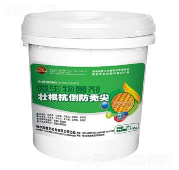 壯根抗倒防禿尖微生物菌劑-玉米配方-君龍實業(yè)