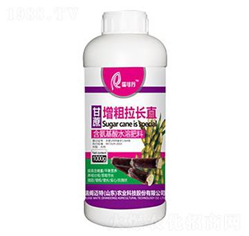 甘蔗增粗拉長直-瑞可丹-瑞閣邁特