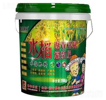 水稻返青柯杈灌漿肥-梁山泰豐