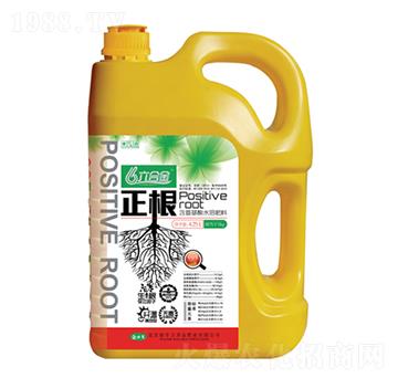 含氨基酸水溶肥料-正根-金必來生物