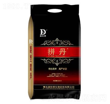 拼丹-康拉德