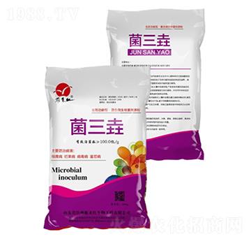 菌三垚-雁來(lái)紅