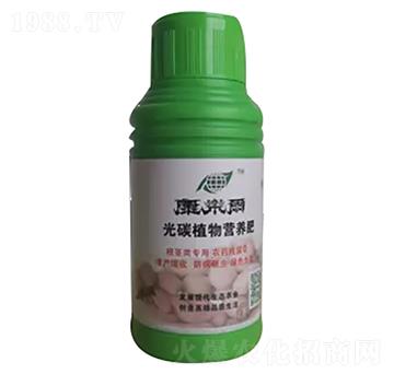 康樂(lè)爾根莖類-康樂(lè)爾