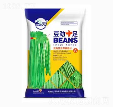 豆角蕓豆養(yǎng)根順長(zhǎng)-豆勁十足-展幫