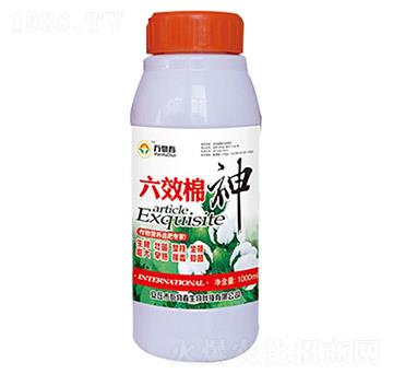 1000ml六效棉神-萬(wàn)物春