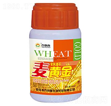 60ml鐵桿麥黃金-萬(wàn)物春