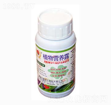植物營養(yǎng)露-農康生物