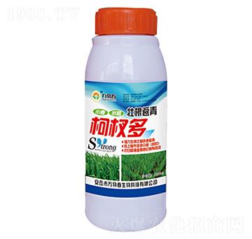 1000ml壯根返青柯杈多-萬物春