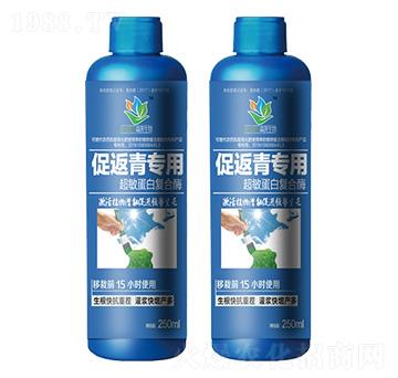 促返青專用超敏蛋白復合酶-森蕎生物