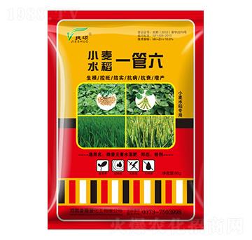 小麥水稻一管六-捷爾豐化工