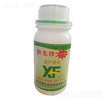 粒先鋒1號增產(chǎn)增收-億輝達