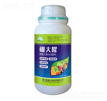 硼大隆-盛源