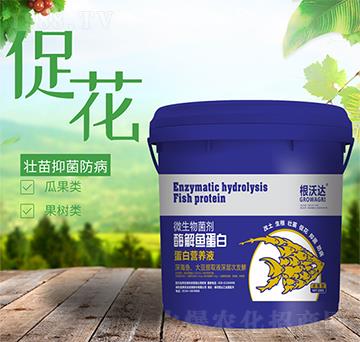 改土生根型微生物菌劑-酶解蛋白營養(yǎng)液-根沃達