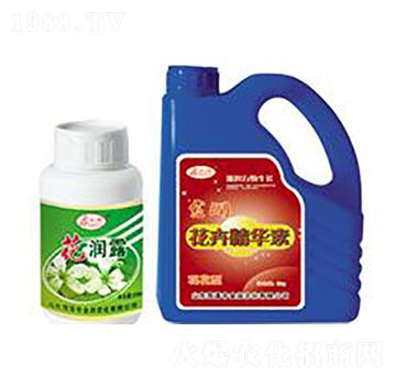 觀花型花卉精華素-江潤生物