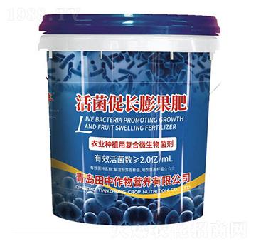 活菌促長(zhǎng)膨果肥-田中作物
