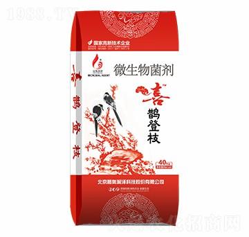 微生物菌劑（粉劑）-喜鵲登枝-晨奧潤澤