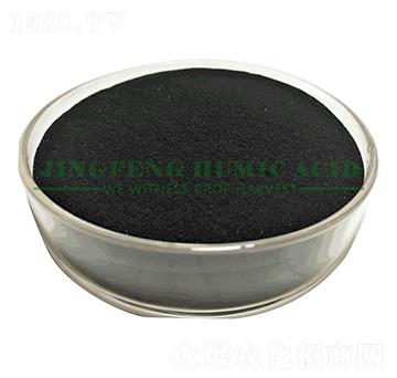 14%-16%海藻精粉-景豐腐植酸