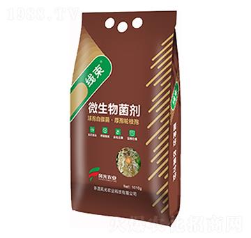 微生物菌劑-線束-風光農業(yè)