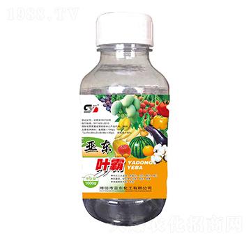 亞?wèn)|葉霸-雙東-亞?wèn)|化工