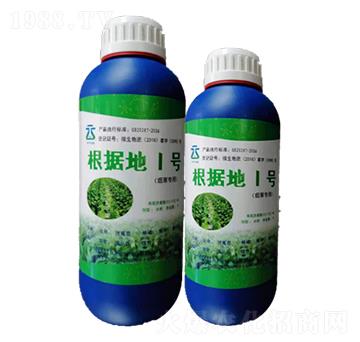 根據地1號-云葉股份