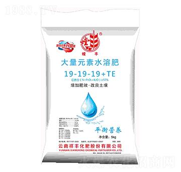 大量元素水溶肥料19-19-19+TE-螳豐-祥豐集團(tuán)